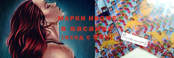 бошки Бронницы